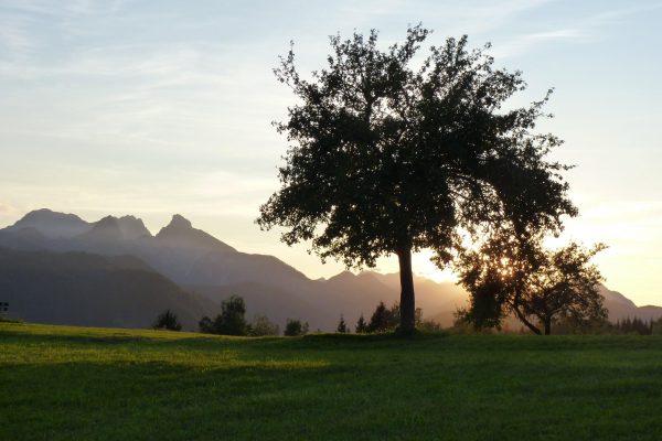 Stücklerhof_Gallerie_1