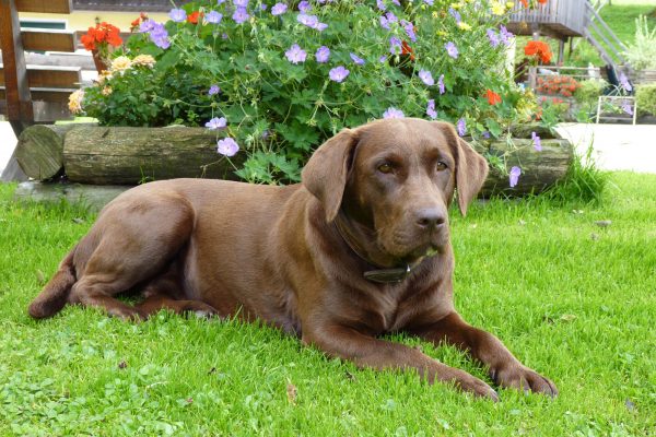 Stücklerhof_Gallerie_2